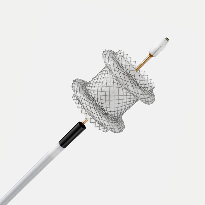 AXIOS™ Stent and Electrocautery Enhanced Delivery System 15mmx10mm