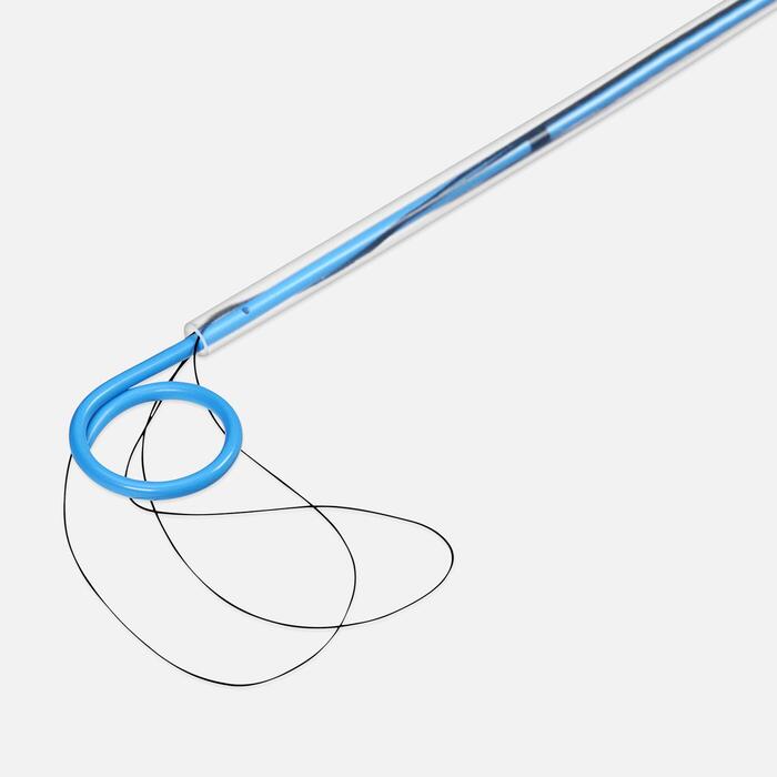 Polaris Loop Ureteral Stent