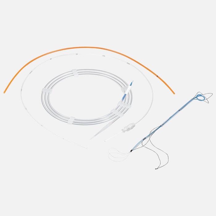 Polaris Loop Ureteral Stent Sets