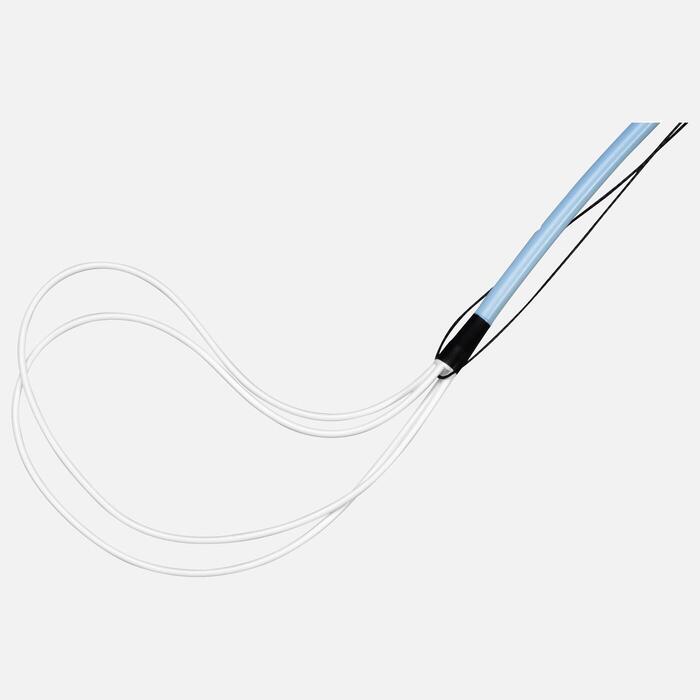 Polaris Loop Ureteral Stent Sets