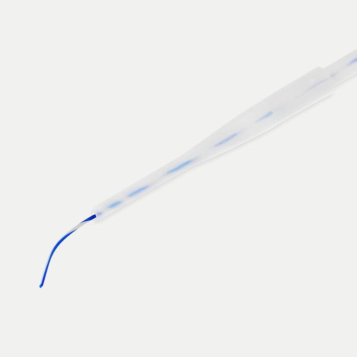 Zebra Guidewire