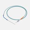 Duodenal Bend Biliary Stent with Delivery System
