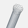 Système de stent biliaire WallflexRXPC