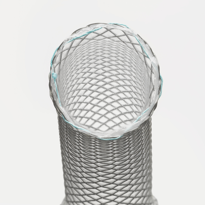 WallFlex™ Esophageal Fully Covered 23/28mmx10cm