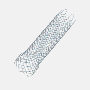 Stent System with Anchor Lock Delivery System