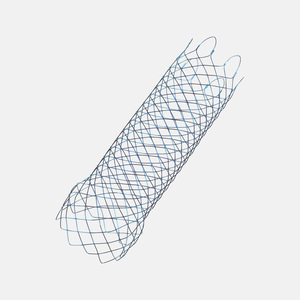 Stent System with Anchor Lock Delivery System